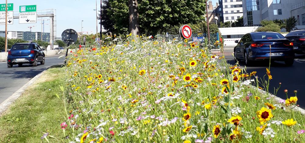 Prairie de Bercy